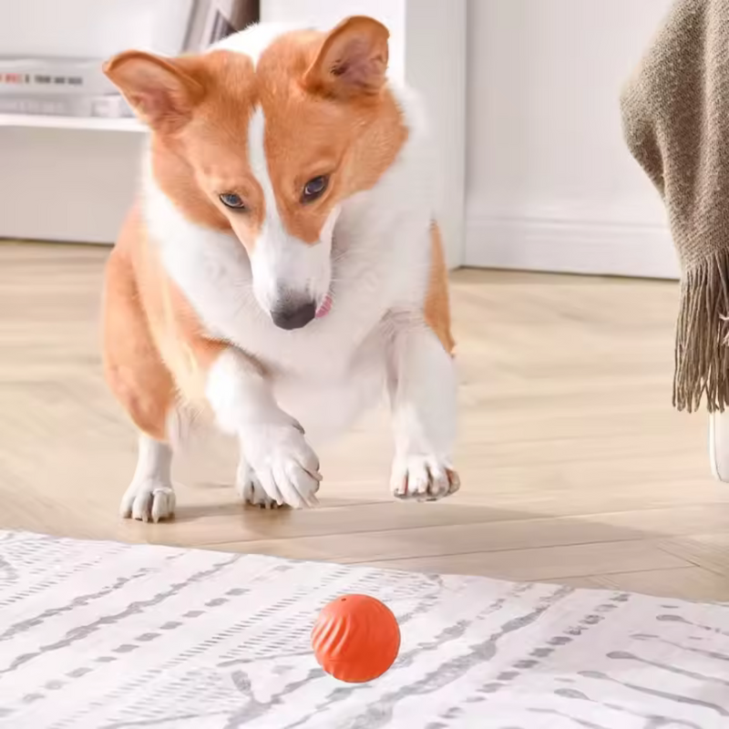Pelota Móvil Automática