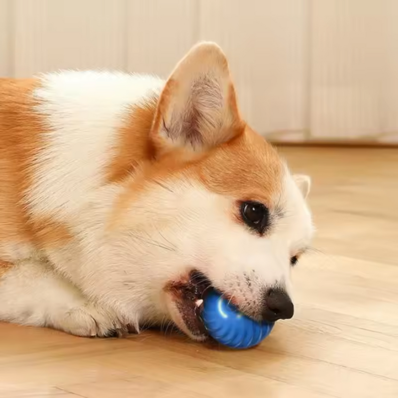 Pelota Móvil Automática