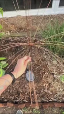 Luces Solares para Jardín